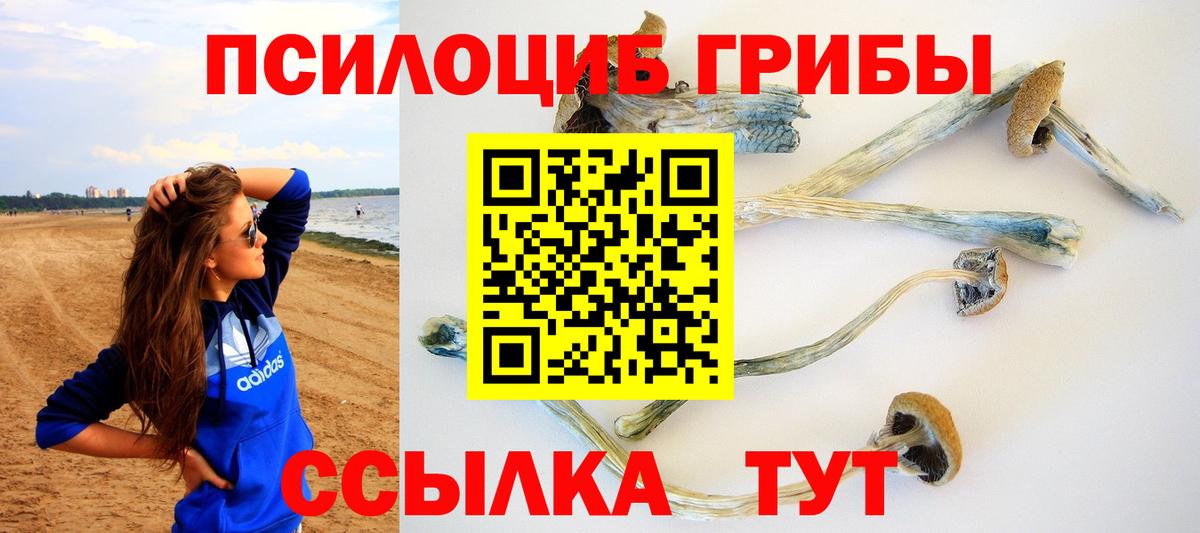 Полысаево  Галлюциногенные грибы MAGIC MUSHROOMS  Вход с VPN 